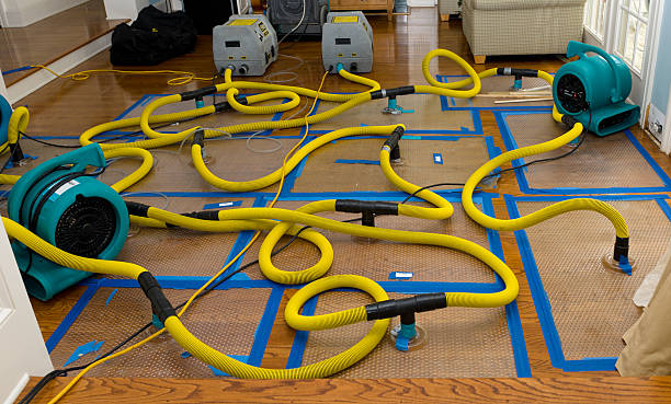 Professional Water Damage Restoration technician working in Palmer, TN